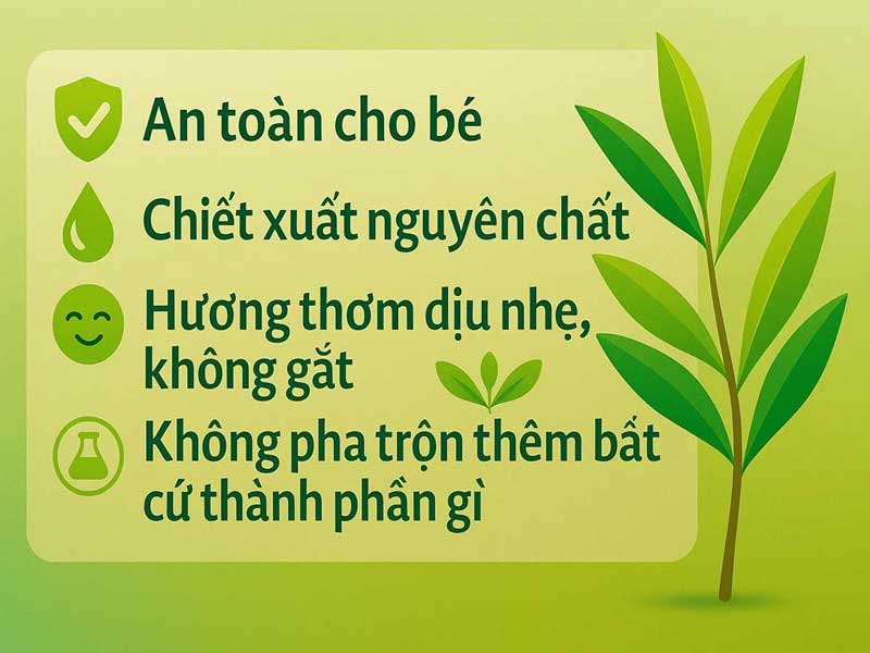 tinh dầu tràm Huế banner 2